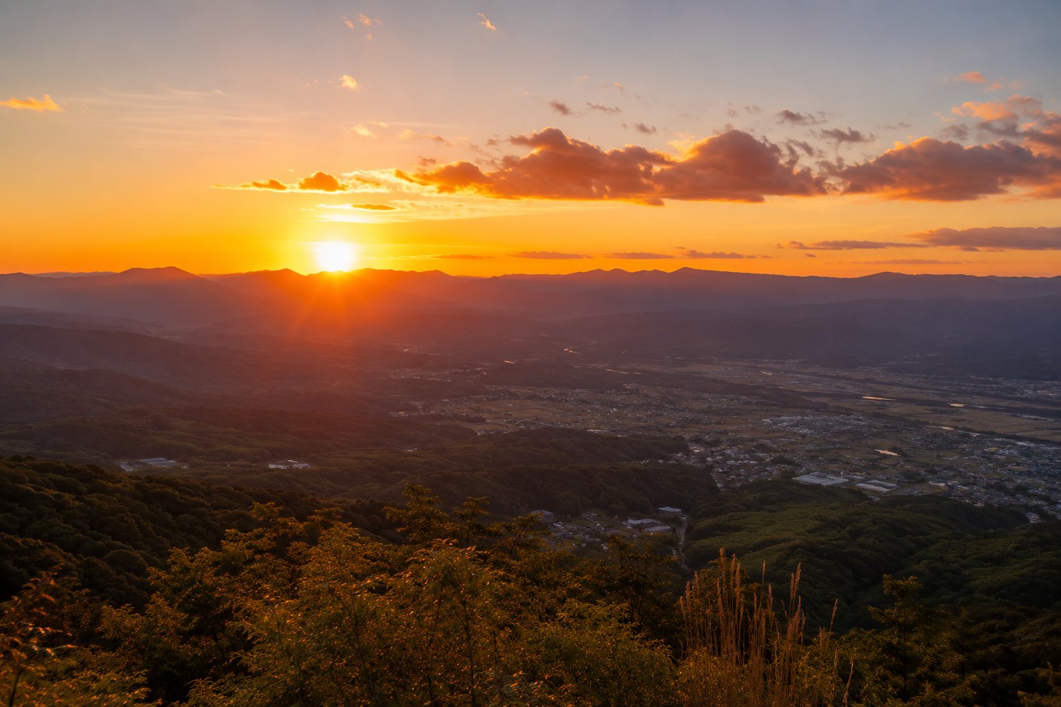夕陽のブドウ畑